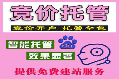 揭秘百度推广代运营公司实操技巧
